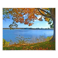 Essex En La Imagen De Otoño