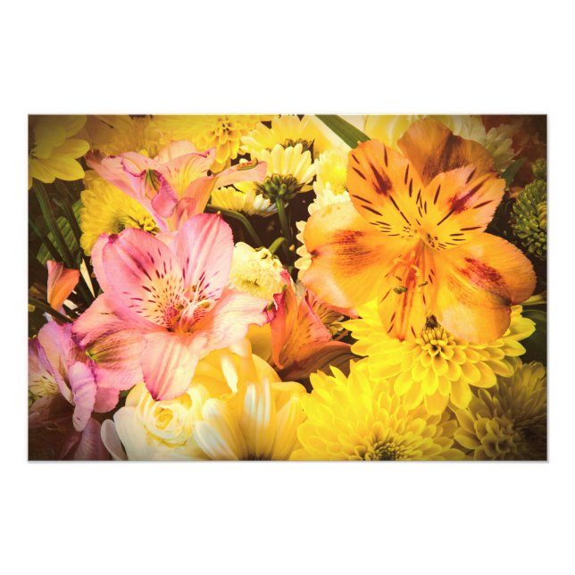 Foto Está lleno de flores (Frente)
