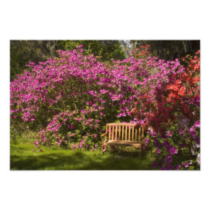 Foto Estados Unidos; Carolina del Sur; Charleston;