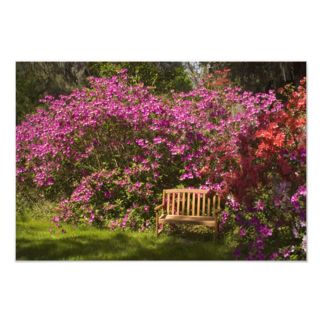 Foto Estados Unidos; Carolina del Sur; Charleston; (Frente)