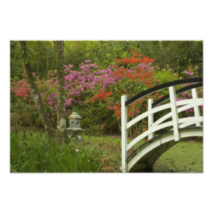 Foto Estados Unidos; Carolina del Sur; Charleston; 5