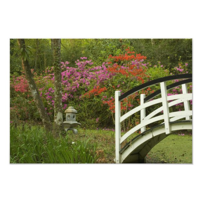 Foto Estados Unidos; Carolina del Sur; Charleston; 5 (Frente)