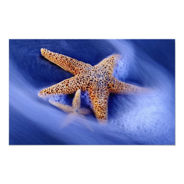 Foto Estados Unidos, Carolina del Sur, isla Hilton Head (Frente)