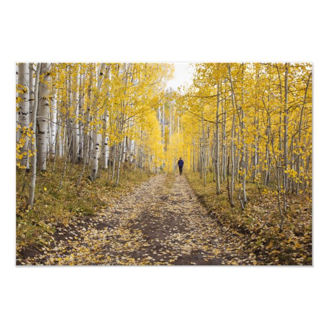 Foto Estados Unidos, Colorado, Gunnison National Forest (Frente)