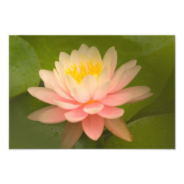 Foto Estados Unidos, Maryland, Westminster, Unión (Frente)