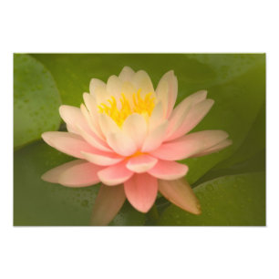 Foto Estados Unidos, Maryland, Westminster, Unión