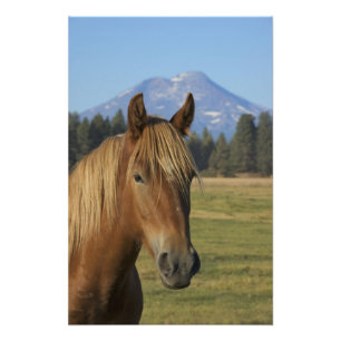 Foto Estados Unidos, Oregón, Hermanas, vista de las Tre