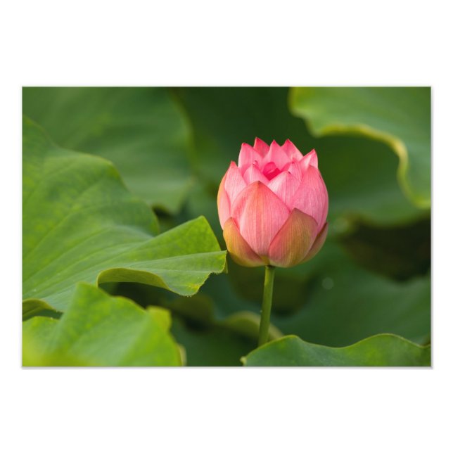 Foto Estados Unidos, Washington, Kenilworth (Frente)