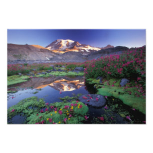 Foto Estados Unidos, Washington, Monte Rainier NP, aman