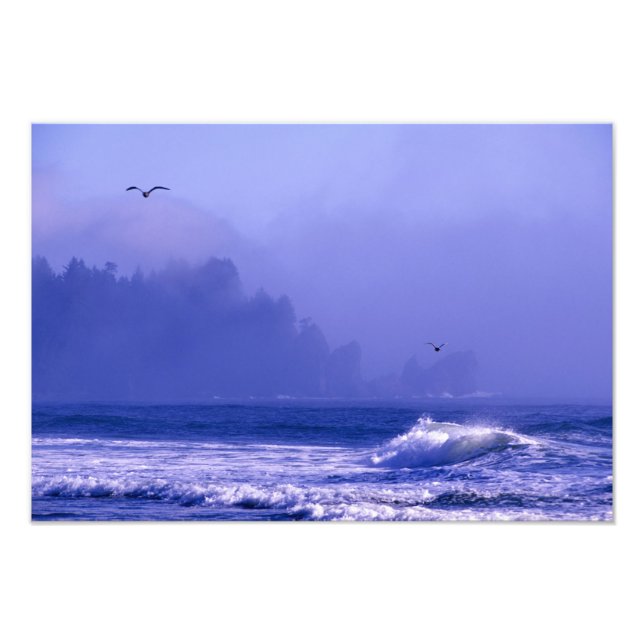 Foto Estados Unidos, Washington, Parque Nacional Olímpi (Frente)