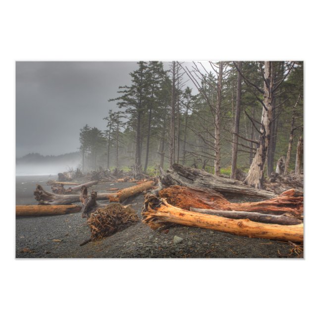 Foto Estados Unidos, Washington, Parque Nacional Olímpi (Frente)