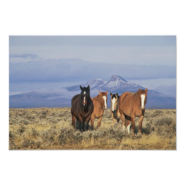 Foto Estados Unidos, Wyoming, cerca del Grupo Cody de c (Frente)