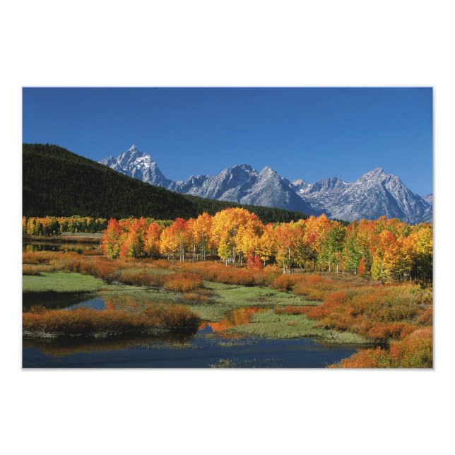 Foto Estados Unidos, Wyoming, Parque Nacional de los Gr (Frente)
