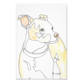 Foto Estampa de cachorro dorado