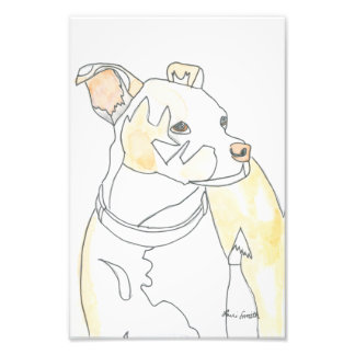 Foto Estampa de cachorro dorado