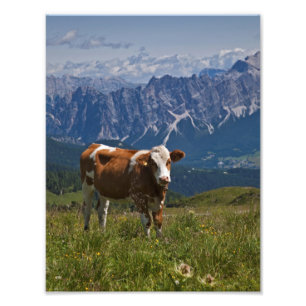 Foto Estampa de vaca alpina