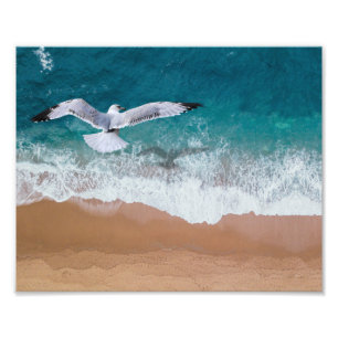 Foto Estampa fotográfica de gaviota en la playa