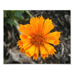 Foto Estampado de flores amarillo