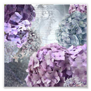Foto Estampado de plores floral del Hydrangea del