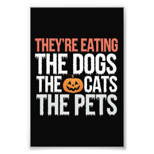 Foto Están Comiendo Los Perros Los Gatos Las Mascotas H