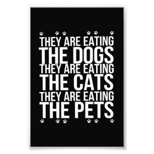 Foto Están Comiendo Los Perros Los Gatos Y Los Mascotas