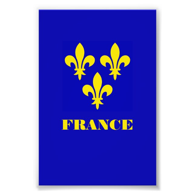 Foto Estandarte Real Francés Medieval Fidelidad Heráldi (Frente)