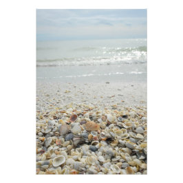 Foto Estanques de Sanibel
