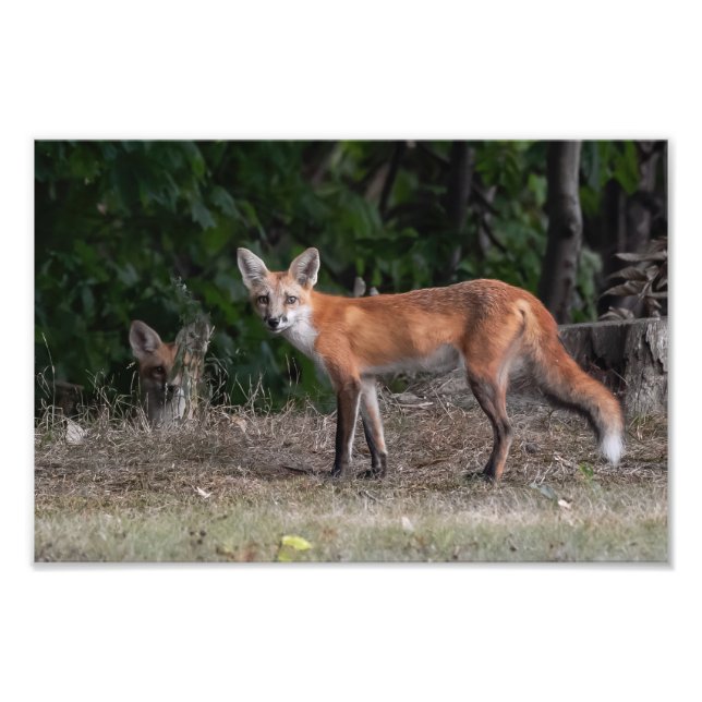 Foto Estás Siendo Vigilado (Frente)