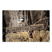 Este lugar es para las aves