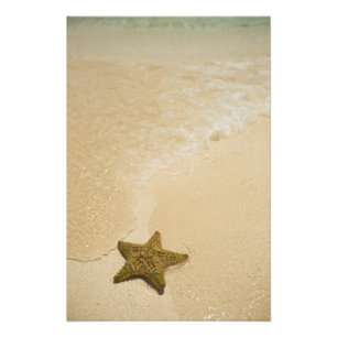 Foto Estrella de mar en playa de arena, Gibbs Cay Land