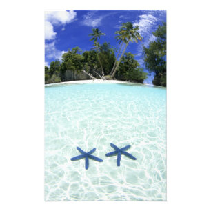 Foto Estrellas de mar, Islas de Roca, Palau