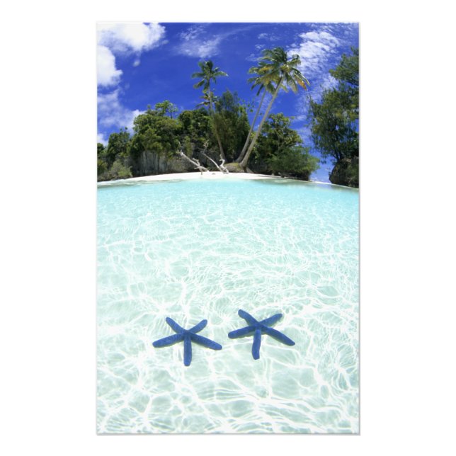 Foto Estrellas de mar, Islas de Roca, Palau (Frente)