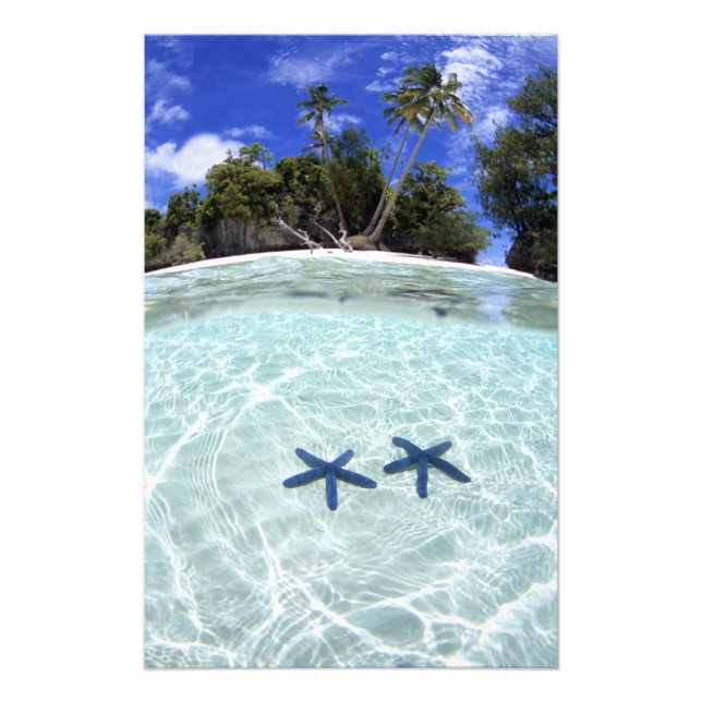 Foto Estrellas de mar, Islas Rock, Palau 2 (Frente)