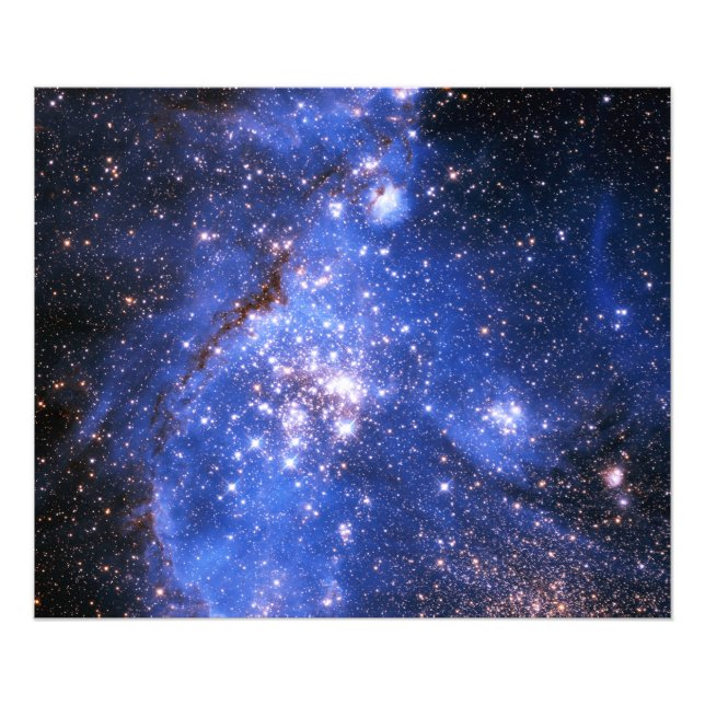 Foto Estrellas Embriónicas azules caídas (Frente)