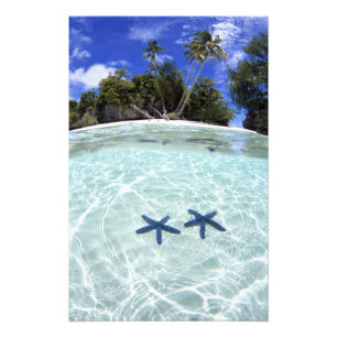 Foto Estrellas marinas, Islas rocosas, Palau 2