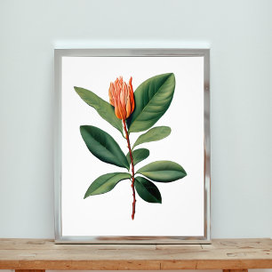 Foto Estudio botánico de una flor Naranja