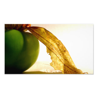 Foto Estudio Tomatillo