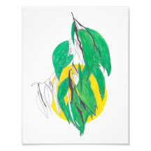 Eucalyptus Leaf Print