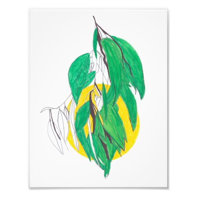 Foto Eucalyptus Leaf Print (Frente)