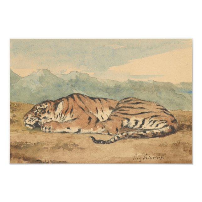 Foto Eugene Delacroix - Tigre real (Frente)