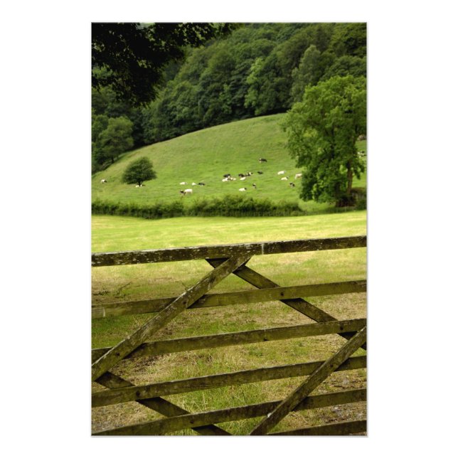 Foto Europa, Inglaterra, Distrito de los Lagos, Cumbria (Frente)