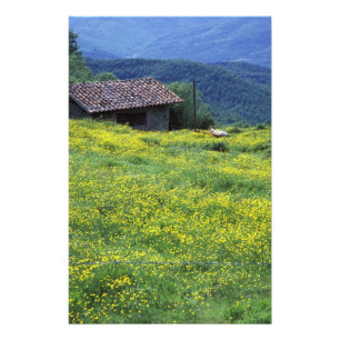 Foto Europa, Italia, Toscana, Siena, Chianti.