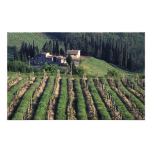 Foto Europa, Italia, Toscana. Villa escénica chipre.