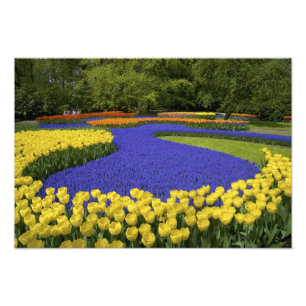Foto Europa, Países Bajos, Holanda, Lisse, Keukenhof