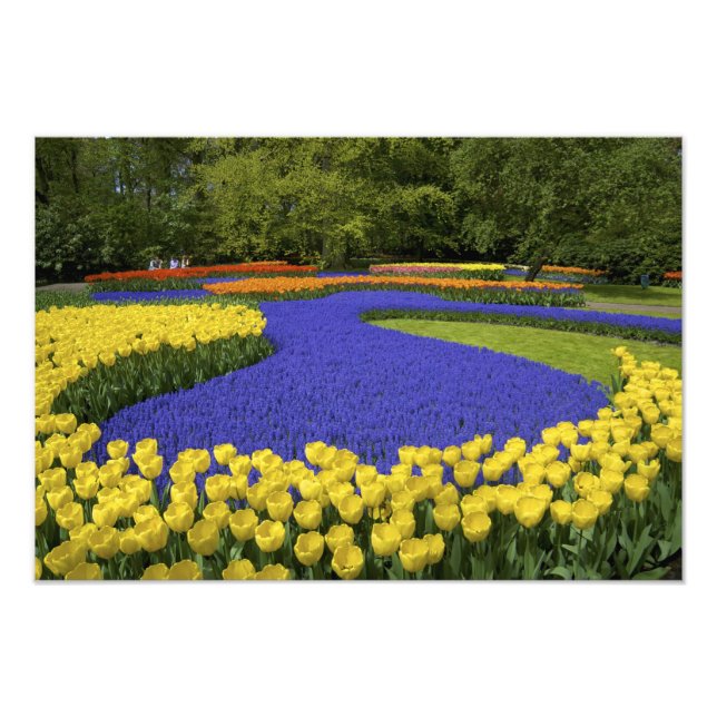 Foto Europa, Países Bajos, Holanda, Lisse, Keukenhof (Frente)