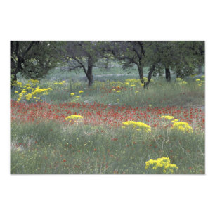 Foto Europa, Turquía, Capadocia. Paisaje rural 2