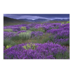 Foto Europa, Turquía, Cappadocia. Paisaje rural 2