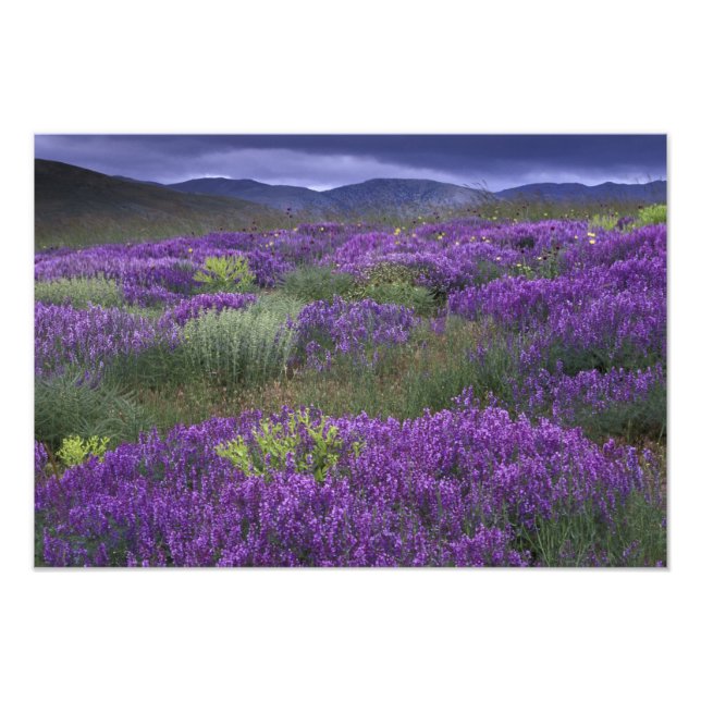 Foto Europa, Turquía, Cappadocia. Paisaje rural 2 (Frente)