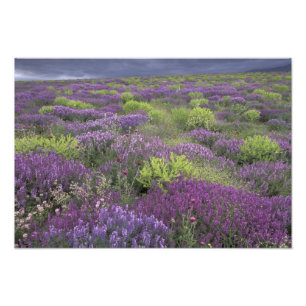 Foto Europa, Turquía, Cappadocia. Paisaje rural 3