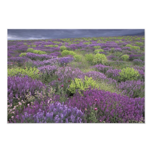 Foto Europa, Turquía, Cappadocia. Paisaje rural 3 (Frente)
